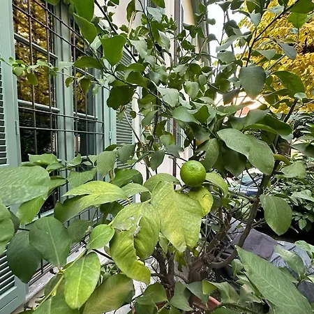 Apartment Della Rocca Urban Relais *
