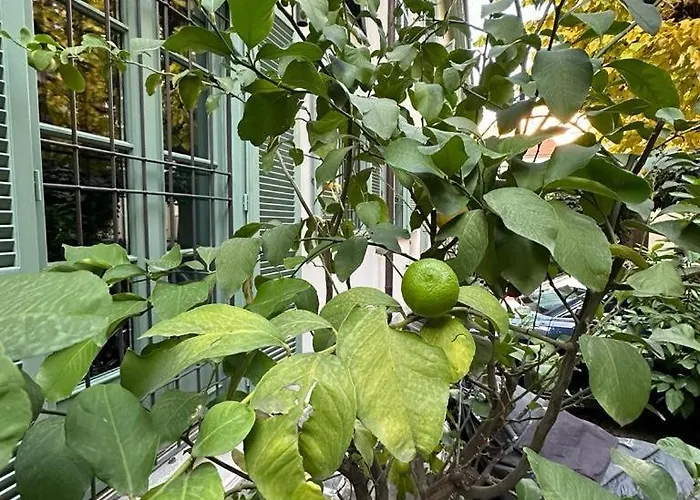 Apartment Della Rocca Urban Relais *